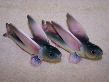 goanif flying fish 2_5.jpg